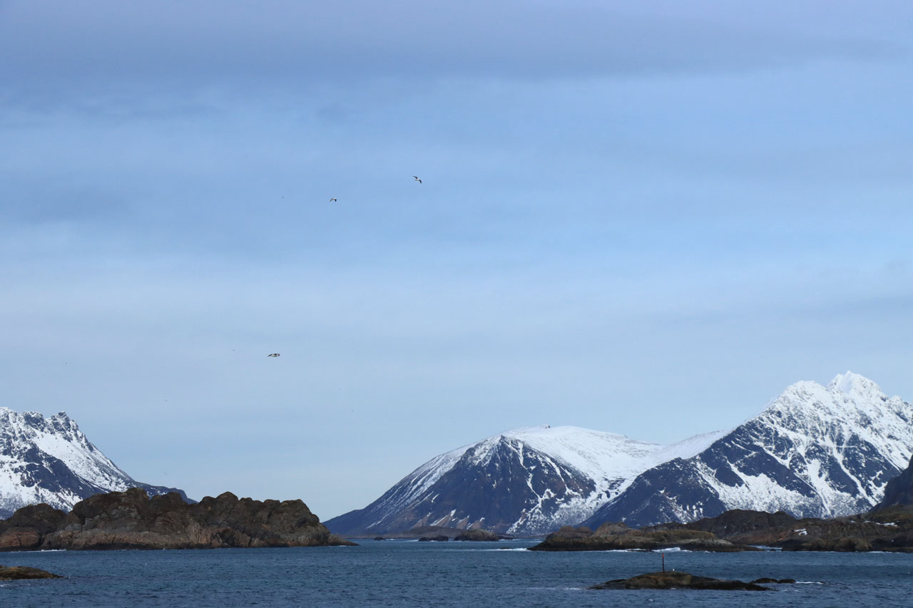 IMG_5938.JPG