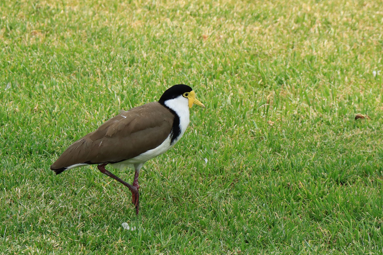 IMG_4572.JPG