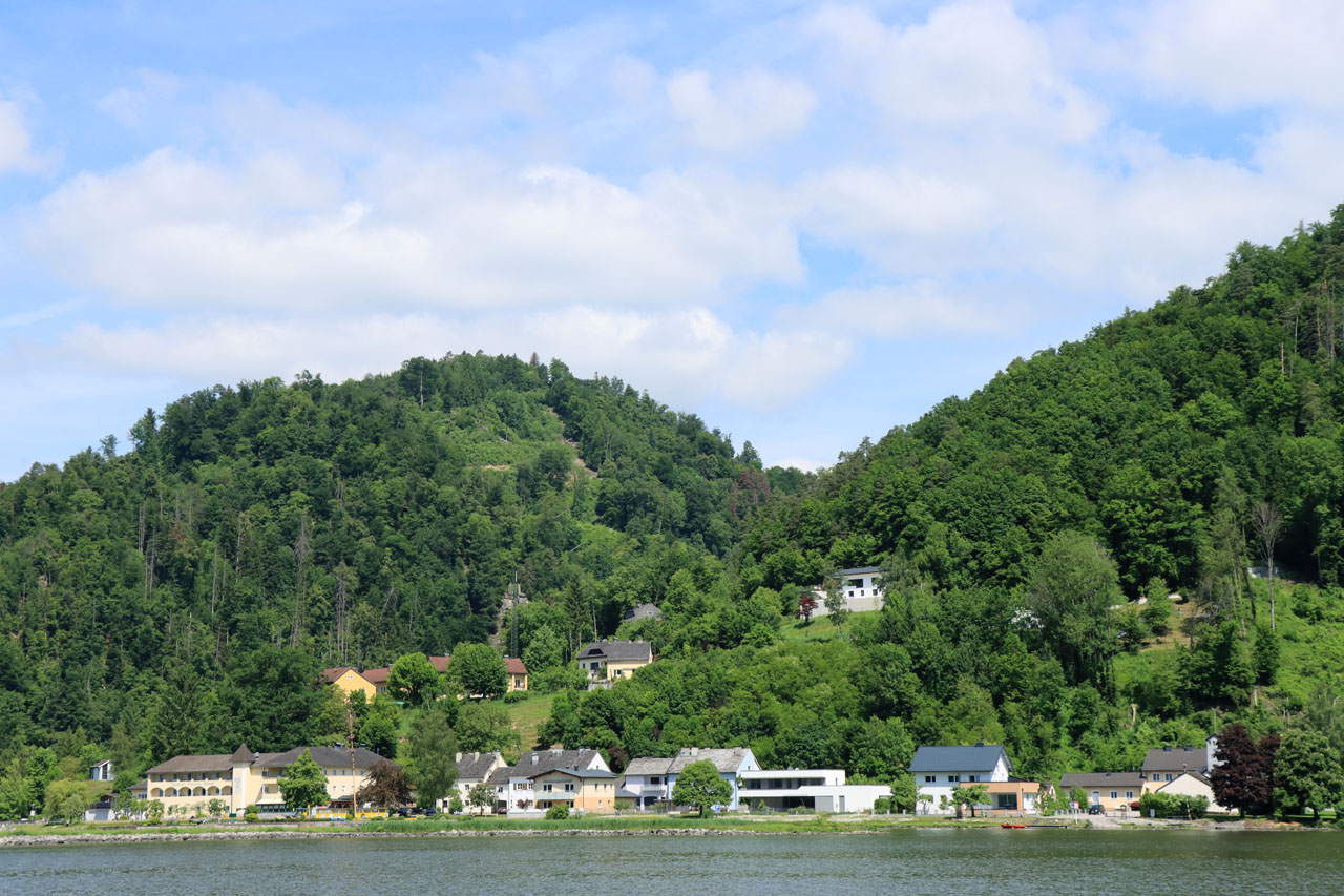 IMG_3780.JPG