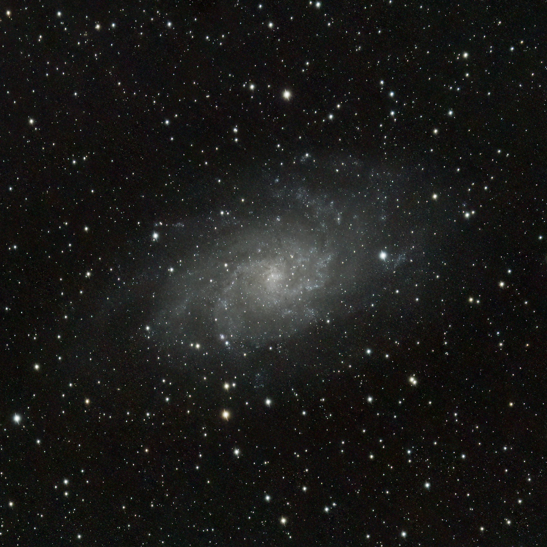 M33