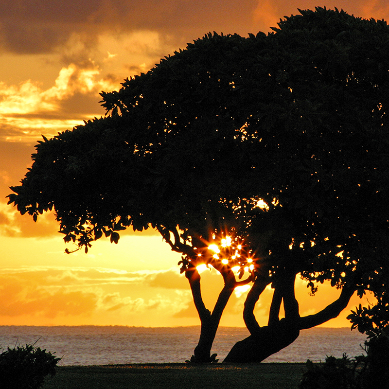 Kauai - Coconut Beach Sunrise
