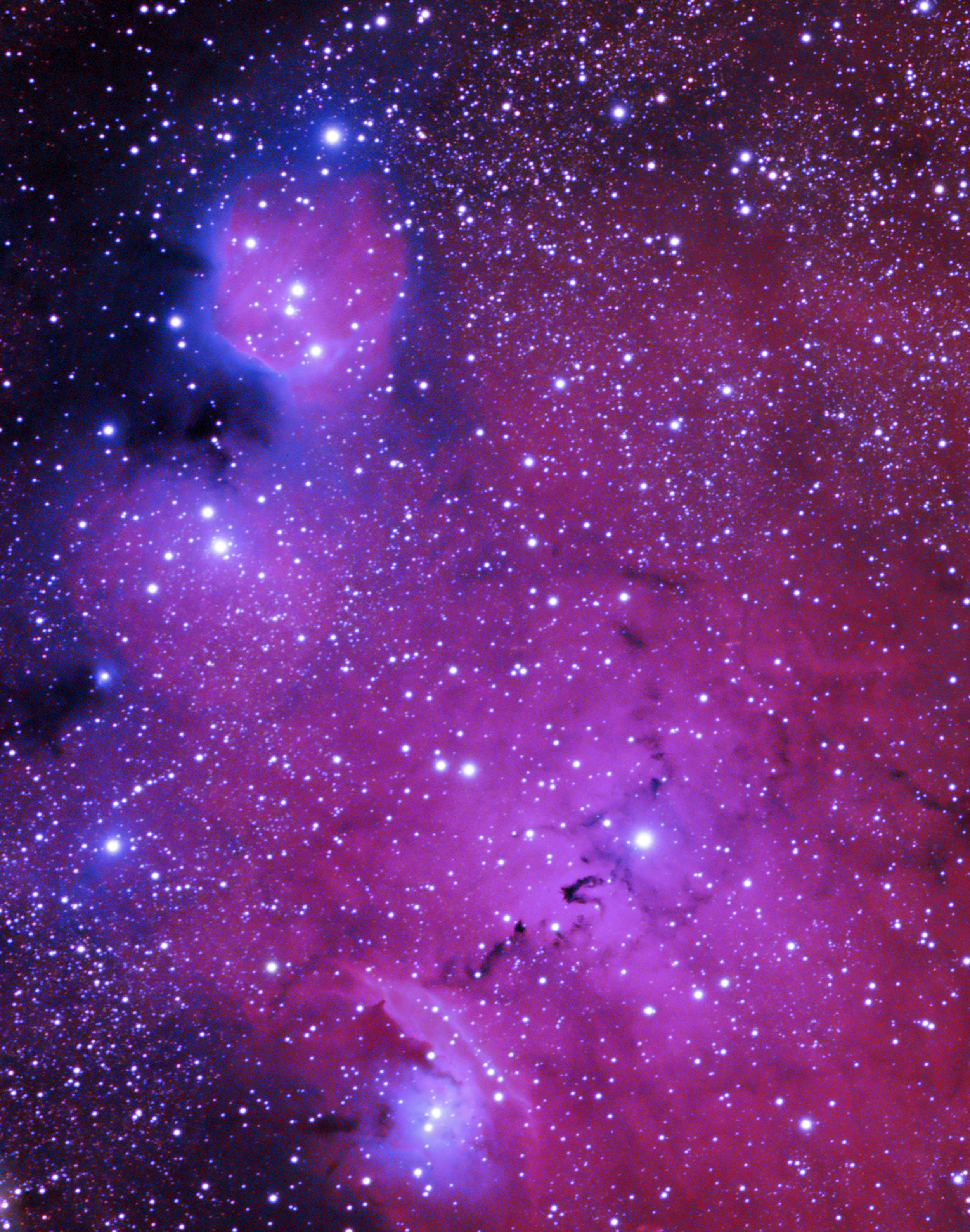 NGC6559 