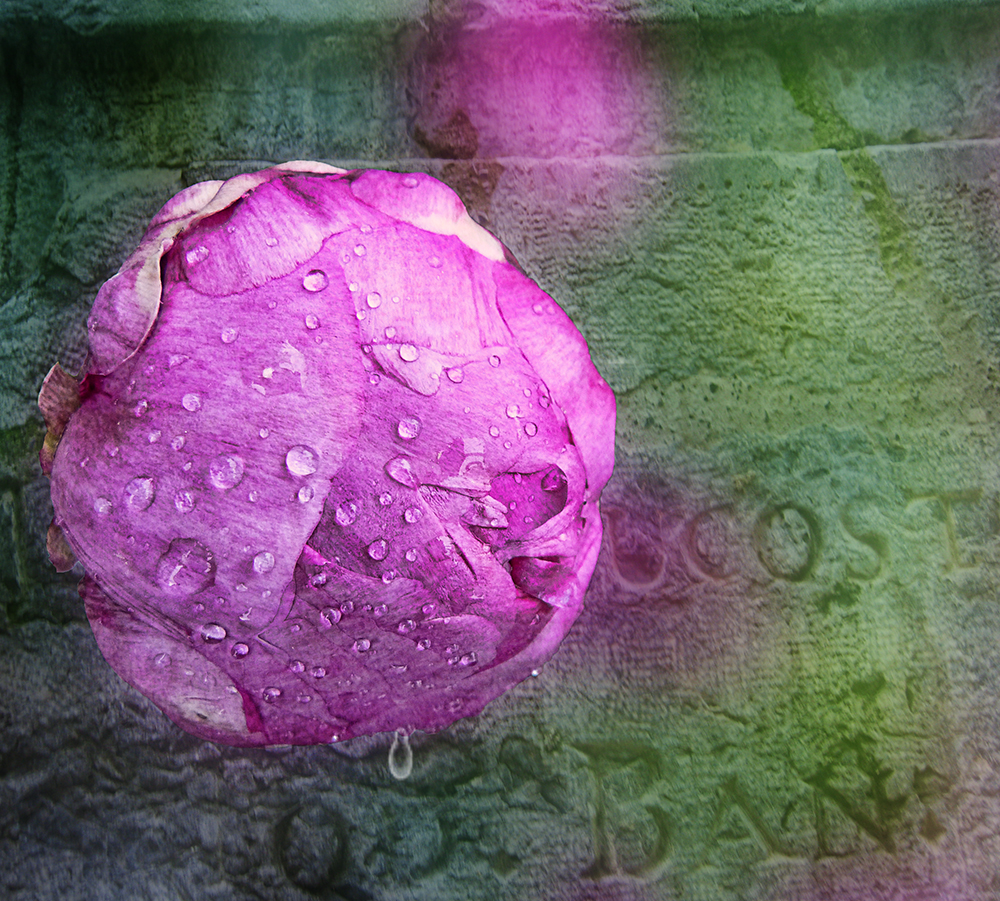 After the rain...