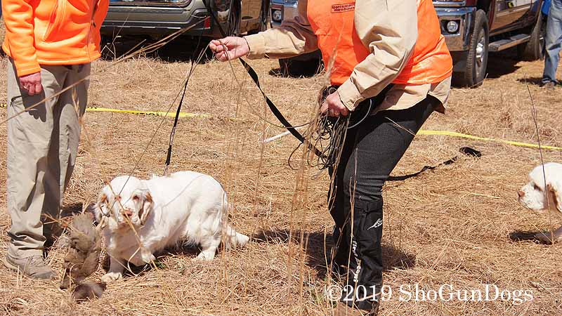2019 CSCA Hunt  190317 077.jpg