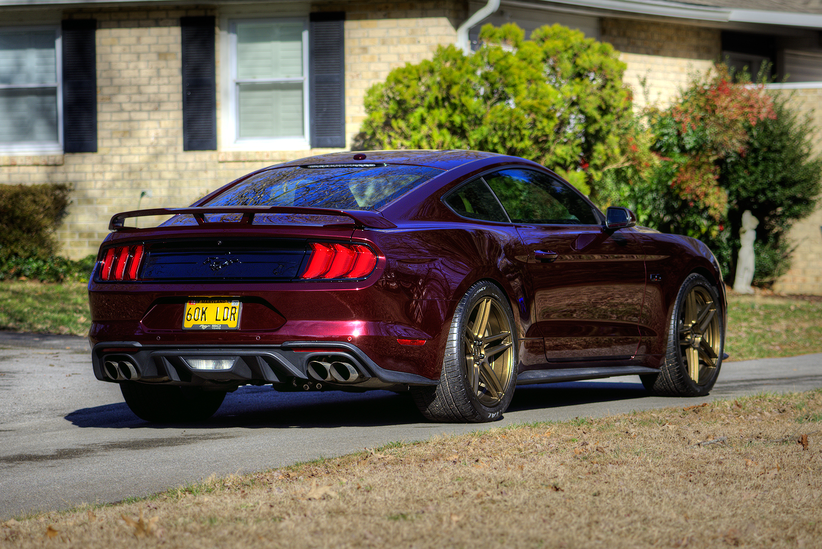 _DSC5028_Enhancer_1080s.jpg