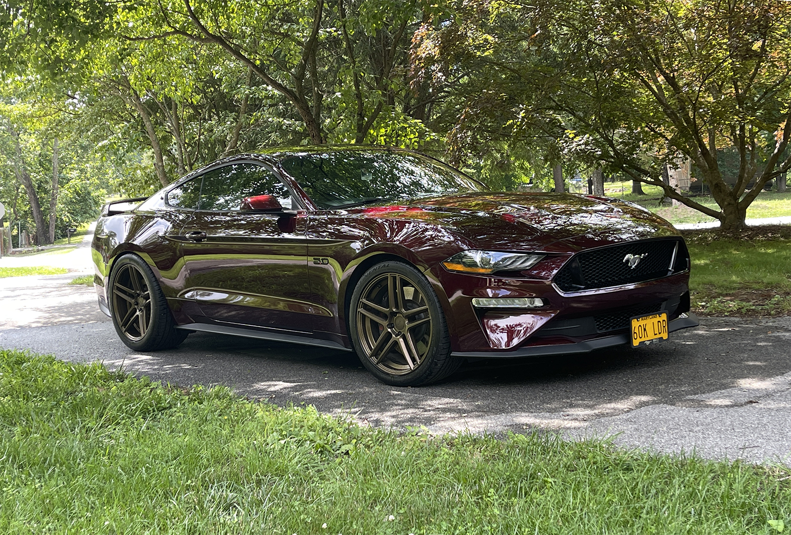 Crimson shadow 2 IMG_3842m1080.jpg