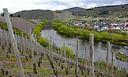 Hiking in Schoden along the Saar (D)