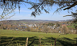 Hiking in Vielsalm (B)