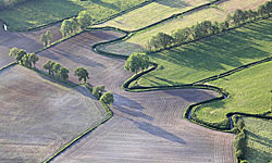 Kempen landscapes 
