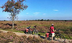 Fietsen op de Veluwe (NL)
