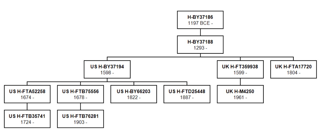 2023: Boyt YDNA Tree, US/UK H-BY37188