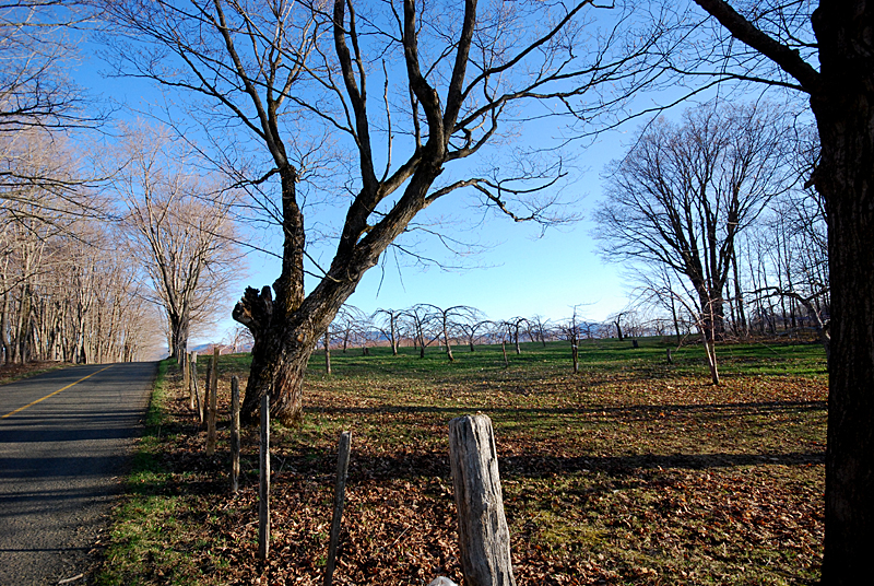 Bocage au Mitan