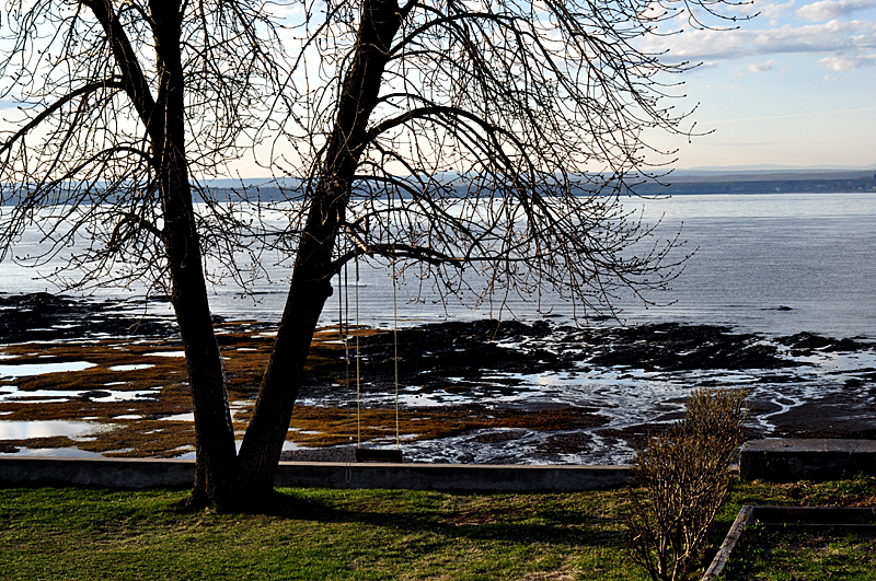 Se balancer devant le fleuve