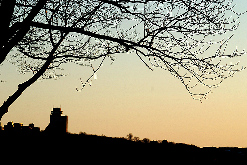 La silhouette du Concord