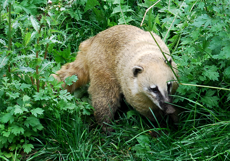 Miller zoo, le sanctuaire