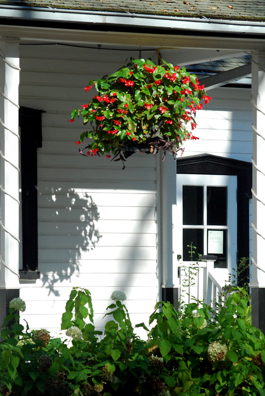 MAISON O'NEILL