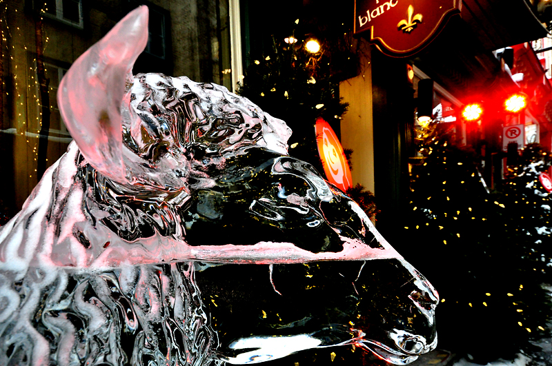 sculpture de glace: le mouton