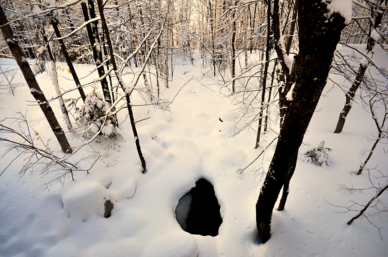Le ruisseau sous la neige