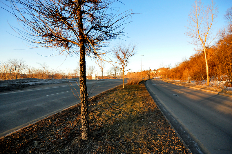 Promenade de Mars le long du fleuve