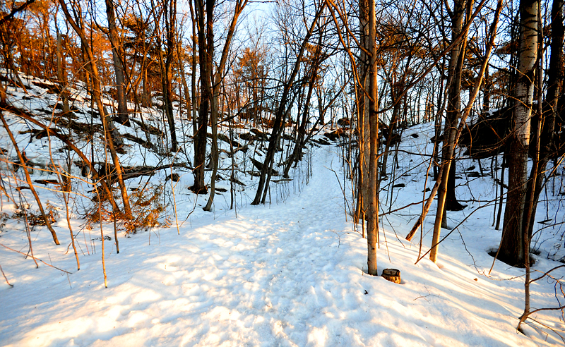 Promenade hivernale au Bois Tequenonday