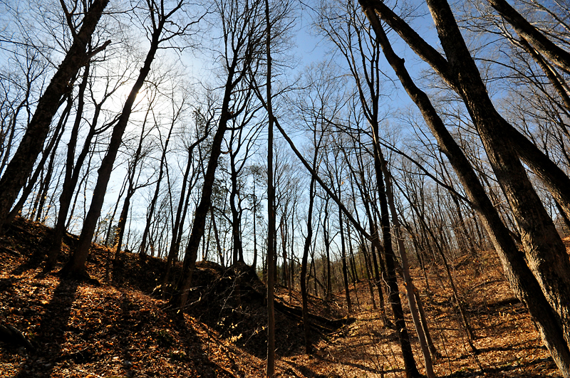 Sur le sentier des rsurgences