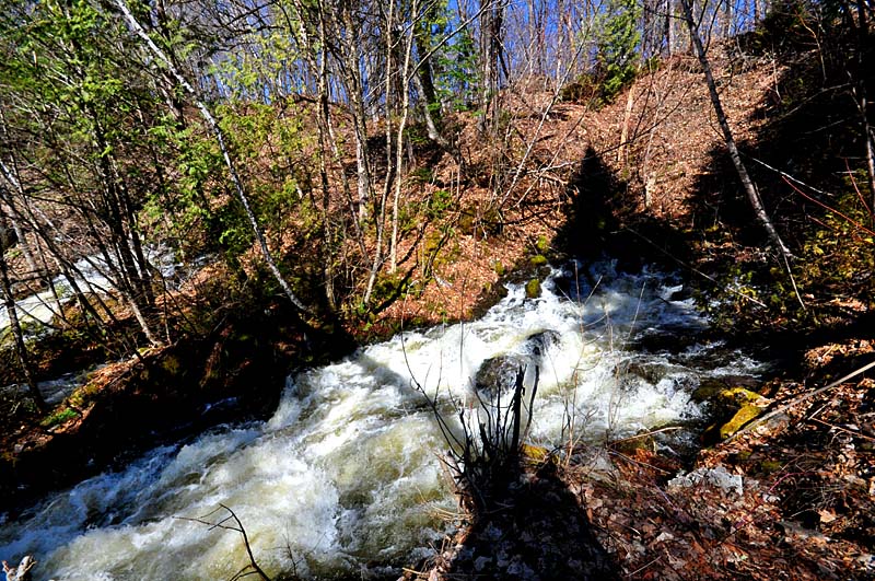 sur le sentier des rsurgences