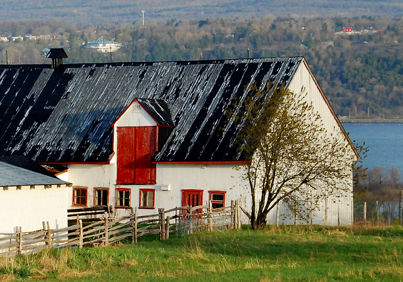 Balade sur l'le d'Orlans