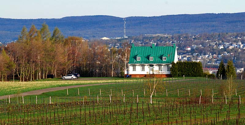 balade sur l'le d'Orlans