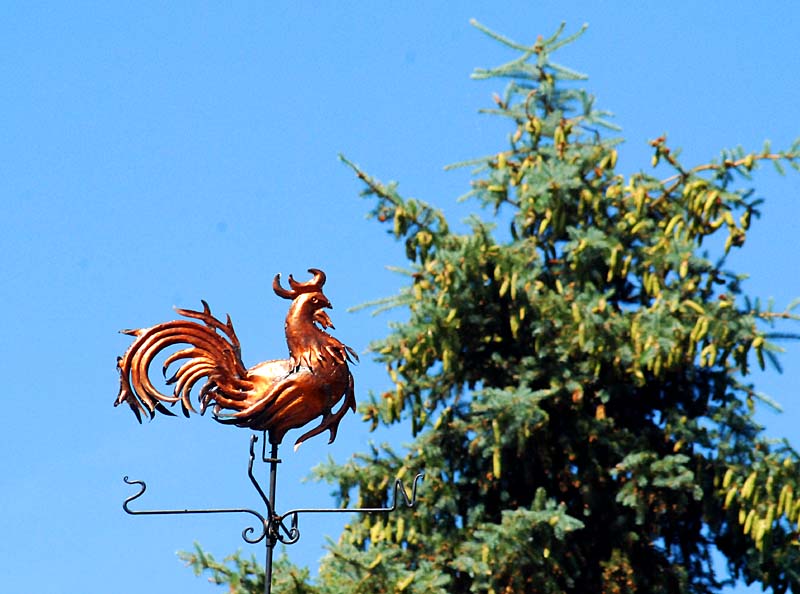 Balade à Ste-Pétronille