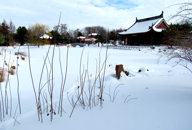jardin chinois en hiver
