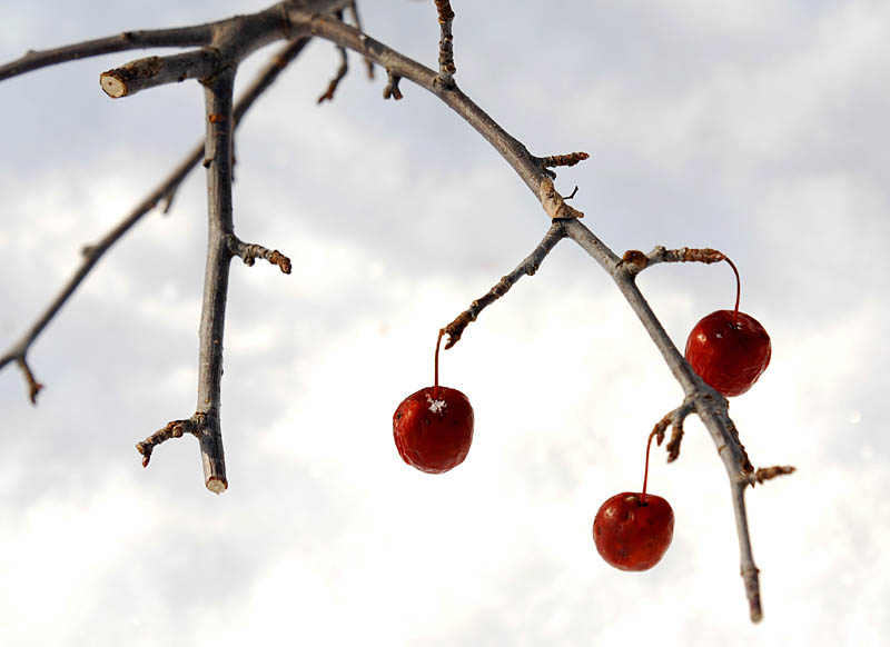 trois boules rouges