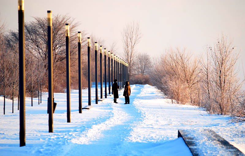 La promenade en hiver