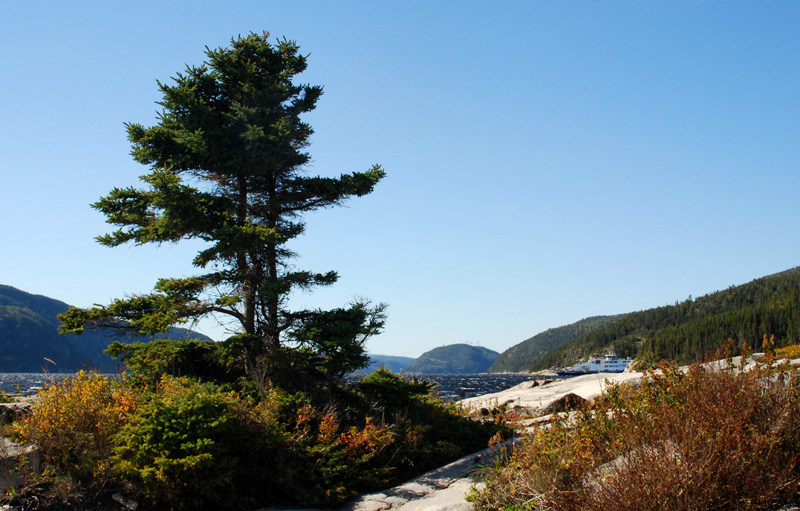 Tadoussac , regard vers le fjord