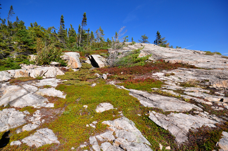 Nordicit, Tadoussac 