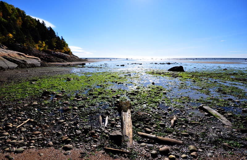 Mare basse- Dunes de Tadoussac 