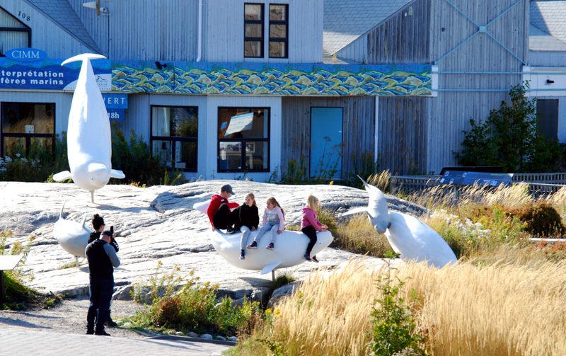 Tadoussac, la pose sur les blugas