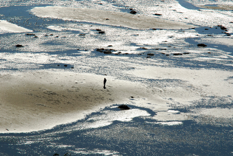 Dunes de Tadoussac