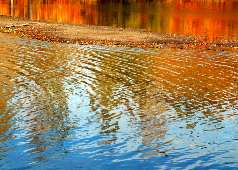 Marais d'automne, Base de plein air de Ste-Foy