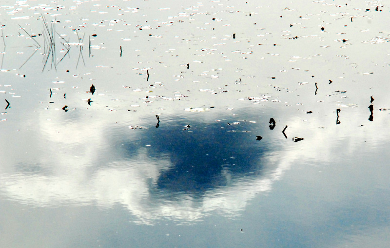 Nuage flottant - Marais du Nord