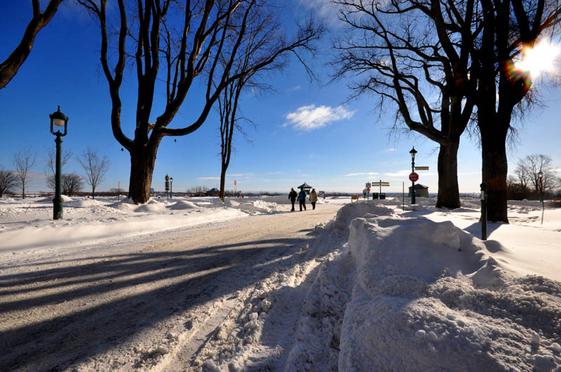 Arrive sur les Plaines d'Abraham