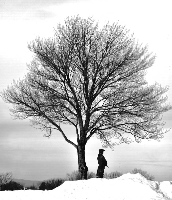 Le chevalier de Lvis sous son arbre