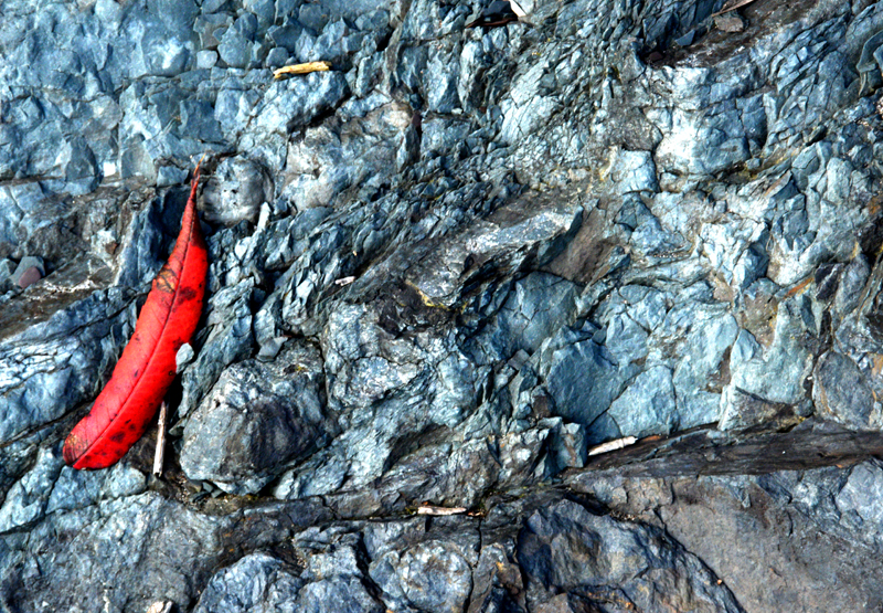 Feuille rouge sur rocher bleu
