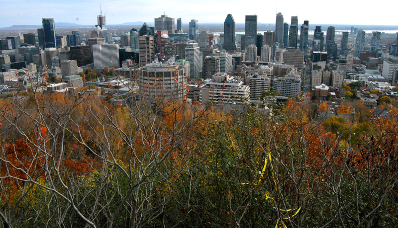 Montréal skyline du Belvédère du Mont-Royal