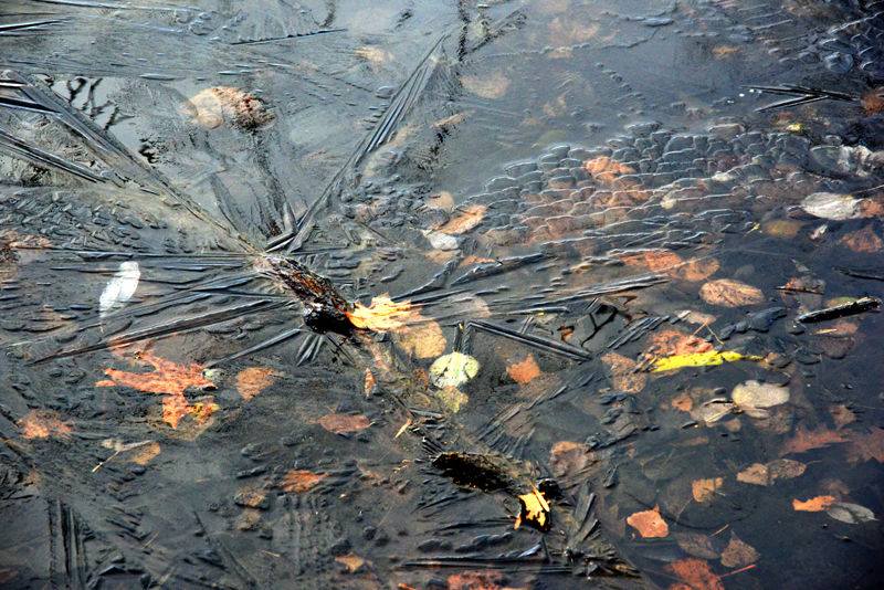 l'automne emprisonn par l'hiver