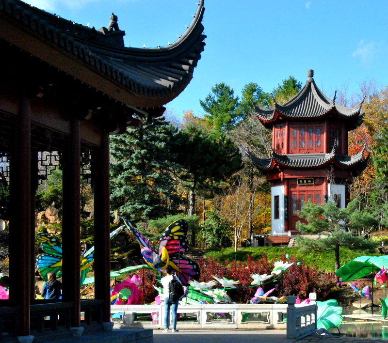 Jardin chinois, jardin botanique de Montral