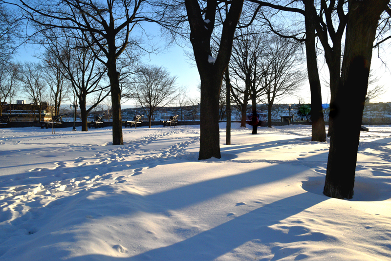 Le parc  Montmorency en hiver