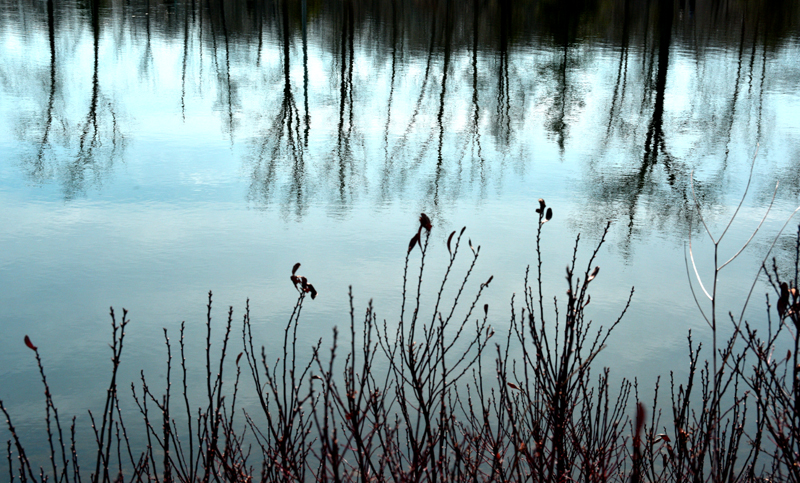 Promenade le long du lac