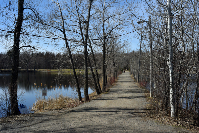 L'allée entre les deux lacs