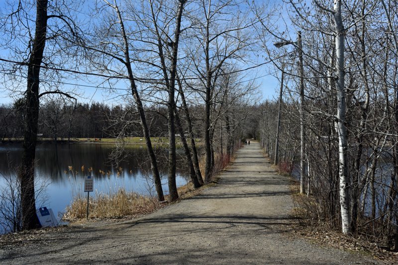 BASE DE PLEIN AIR DE STE-FOY