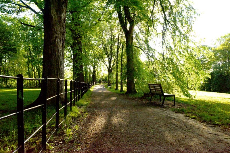 Bois-de-Coulonge